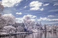 SG_Z7_IR_20240425_009_edit_VERO